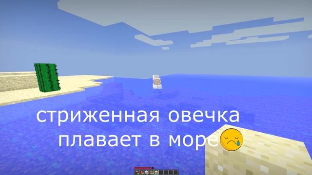 бритая овечка плавет в море(((