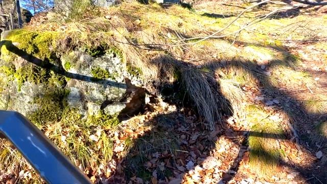 Bastei. Міст Бастай в Саксонскій Швейцарії національний парк поруч із Дрезденом. Гори, річка Ельба.