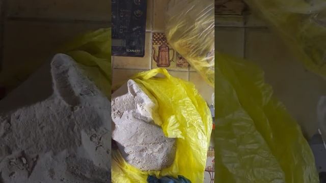 Распаковка Туркестанов и Узбечки