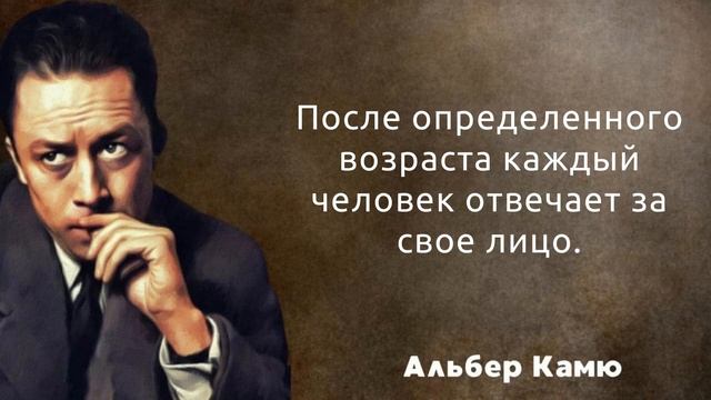 55 интересных цитат сказанных не совсем вовремя