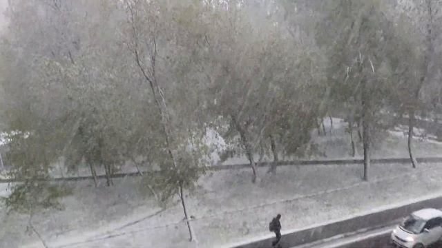 Сыпет Майский СНЕГ, Смотрим из Окна