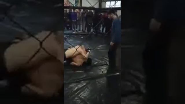 43e851bf9467b7fe56ae05fdfe953bf8