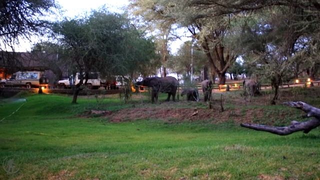 24 3 Отель в Тарангире.