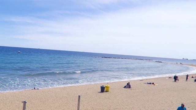 VLOG: ГОЛОДНЫЕ КАБАНЧИКИ! 19.04.16