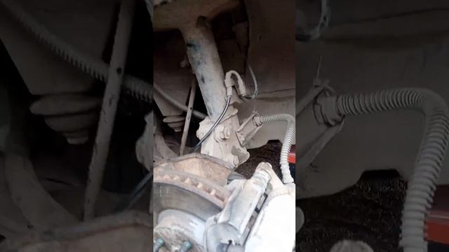 Любимые страны