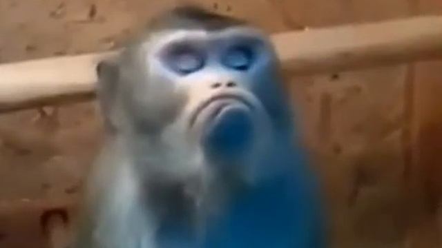 я обиделась