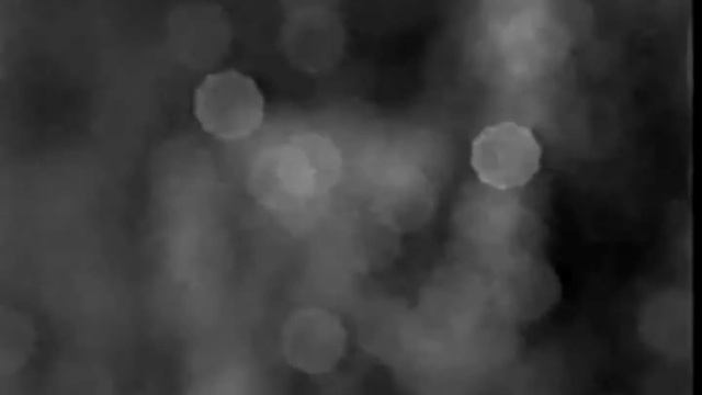 Раиса - Кагерманова