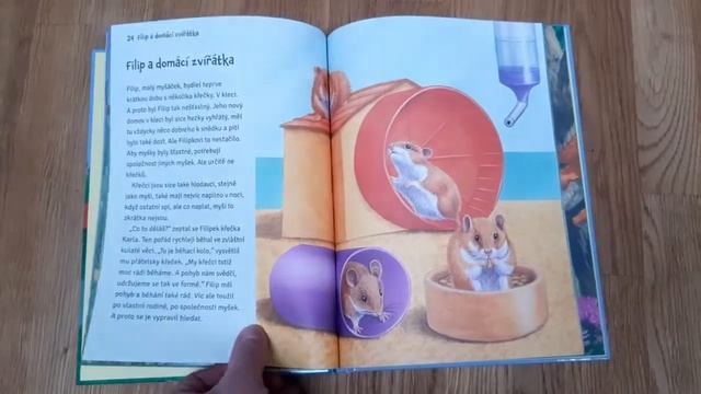 Proč Má Ježek Bodliny