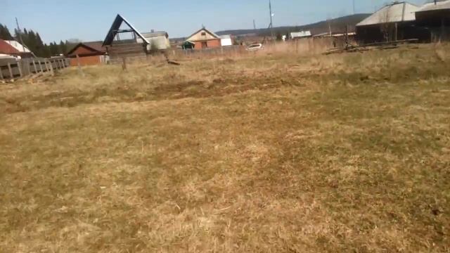 Поход на г. Шунут. Лошадки Краснояра