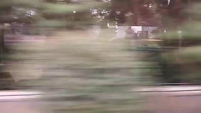 обзорная прогулка по городу Сочи Сочи Сочи апрель 2024 года