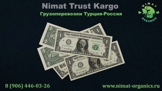 Творчество и самостоятельные проекты