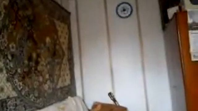 Сердце  или Мартовский кот