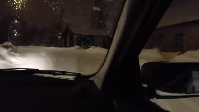 ЛИТВИНЕНКО-Папаграмм