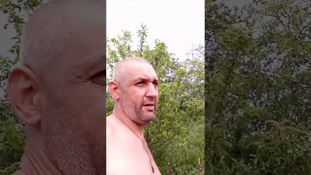 Никому не верь