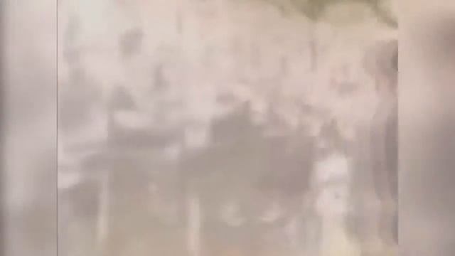 Лучшие Приколы в Coub #68  Ох уж этот Реслинг