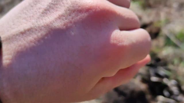 Коп Металла Железные Будни