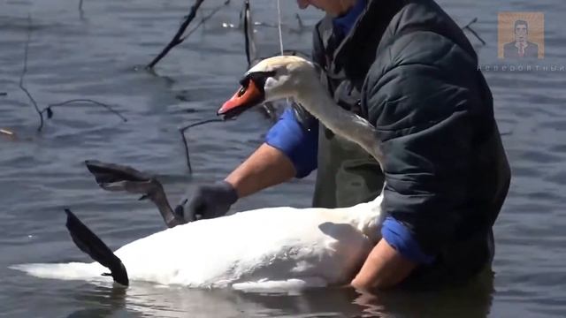 Случайные акты доброты - Вера в человечество восстановлена