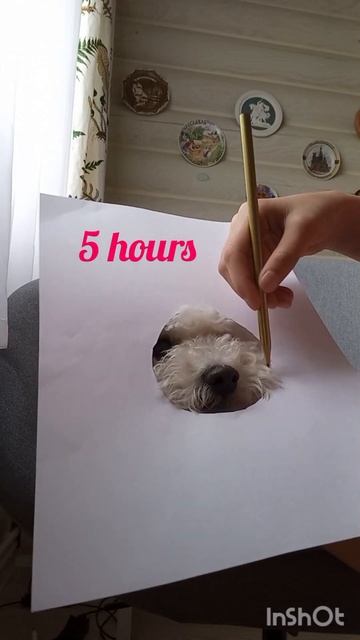 РИСУЕМ БИШОНА! 😲 #бишонфризе #бишон #dog #shorts  #short #shortvideo