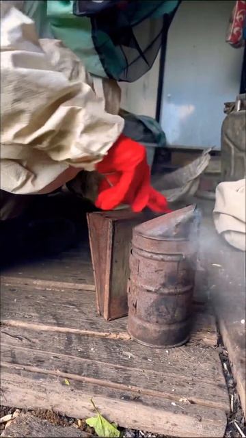 Качала мёд так то , смотрите до конца !#влог #мотивация #саморазвитие #ферма #деревня #мёд #пчелы