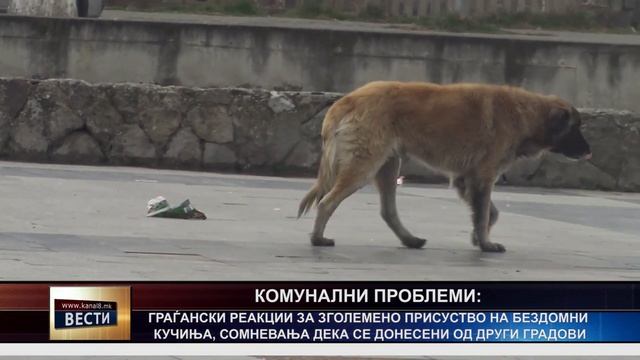 3ff5beb04de6aed9793350252cefab16