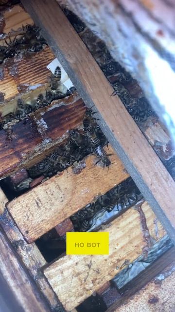 Ad0971ca66787b36637ceb2773be8f6b