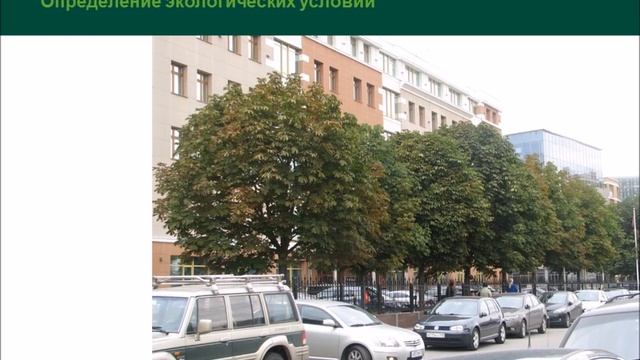 Методика ландшафтного проектирования -Игорь Сафиуллин- 21 марта 2018