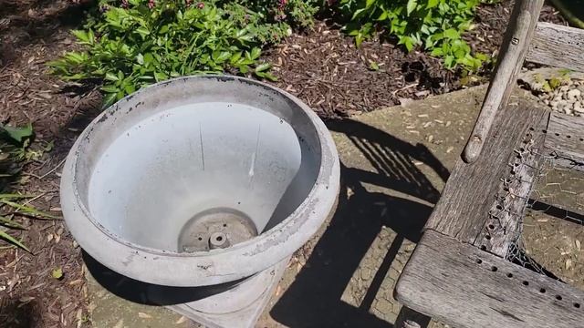 Annual Flower Container Marathon