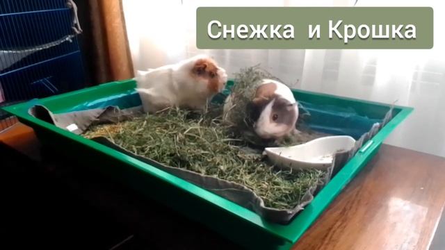 Добро пожаловать на наш канал!