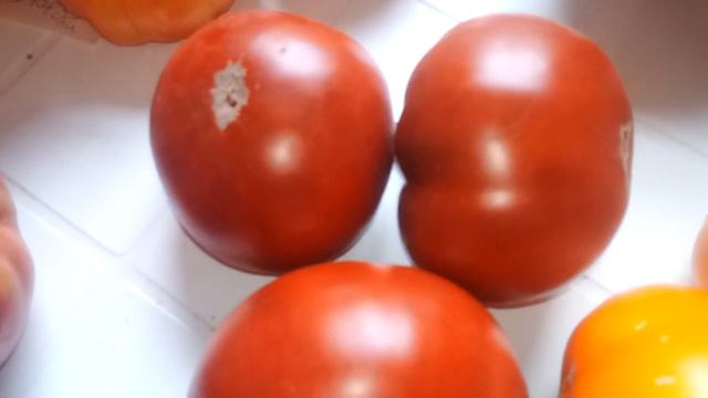 Презентация сортов 2021 год (3 часть)