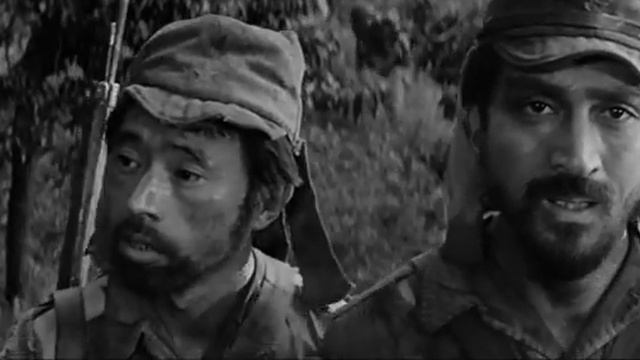 Полевые огни