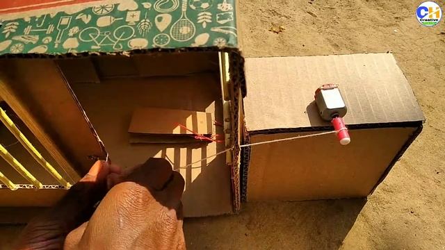 How To Make A Bird Trap