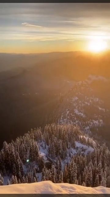 Fd08148bf90014b3a741960a15b2f81e