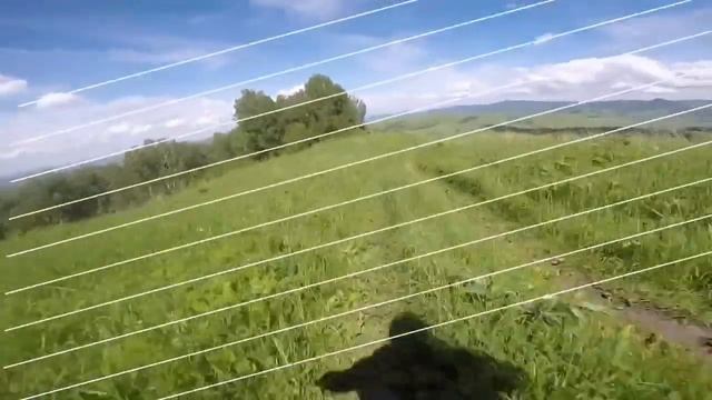 Тугая GT Travel 11.06.2019