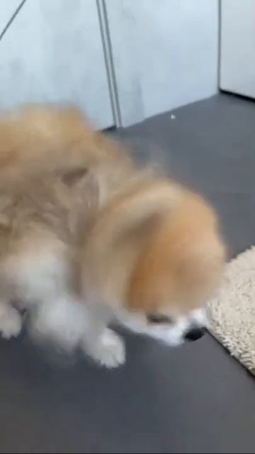 Cc9e1ca0d9f52a79d6a115150d26a7c3