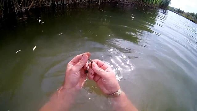 Праздничный коп.Отдам ЗОЛОТО за шоколадку.Пляжный поиск сокровищ