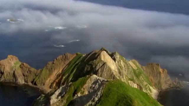 29 ноября 2022 г.