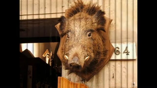 14297e38b5e99255f00e80387222611f