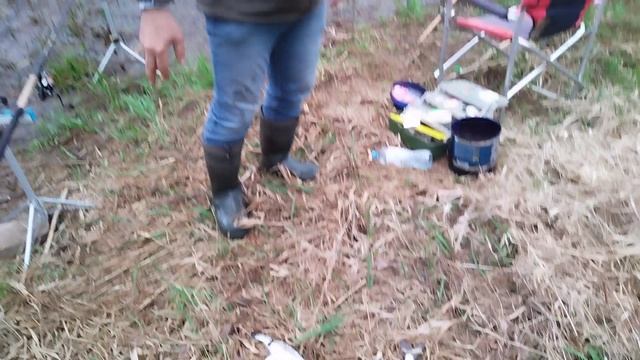 На Волгу за чехонью-2!