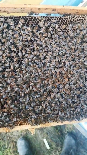 47249e8ac39cfd0be54b7753aa6ea11b