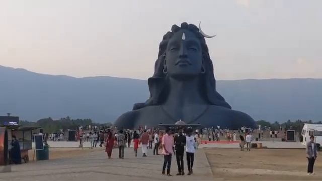 Надеюсь тигры ко мне не подойдут. 🧘♂️🐅