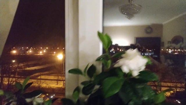 8 Марта видео 1