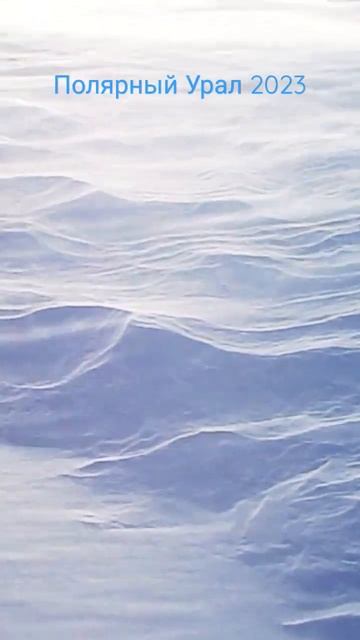 #полярный_урал