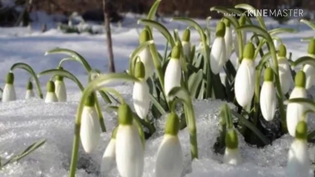 Я бути  сильною навчилася у неба