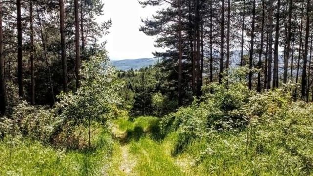 Витоша слайдшоу