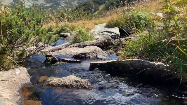 Горная река/Хижа Вихрен/Болгария