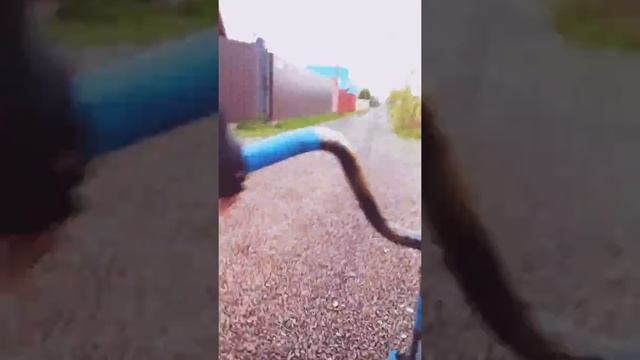 Всем привет