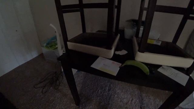 Vlog 41USA. Первый месяц - Родители. Наши будни и выходные.