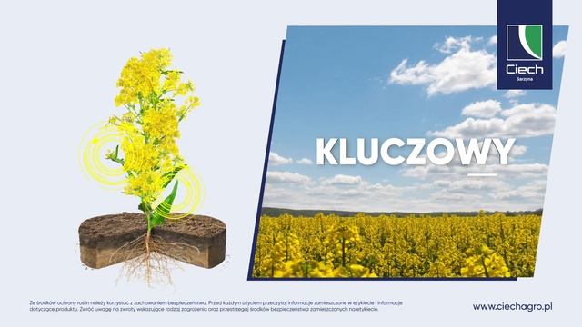 Twój Plan Na Równy Łan - DOVVO 375 SC