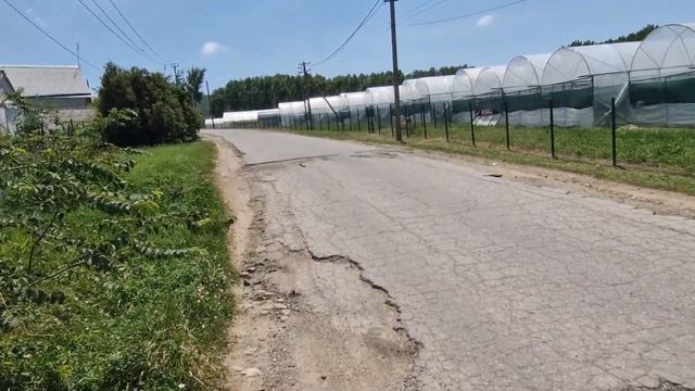 4de6c0e0c4d128c86e9ce46d2ad926cd