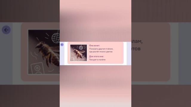 Ответы на вопросы Олимпиады 2025г.
Науки вокруг нас
Основной тур 2025г.